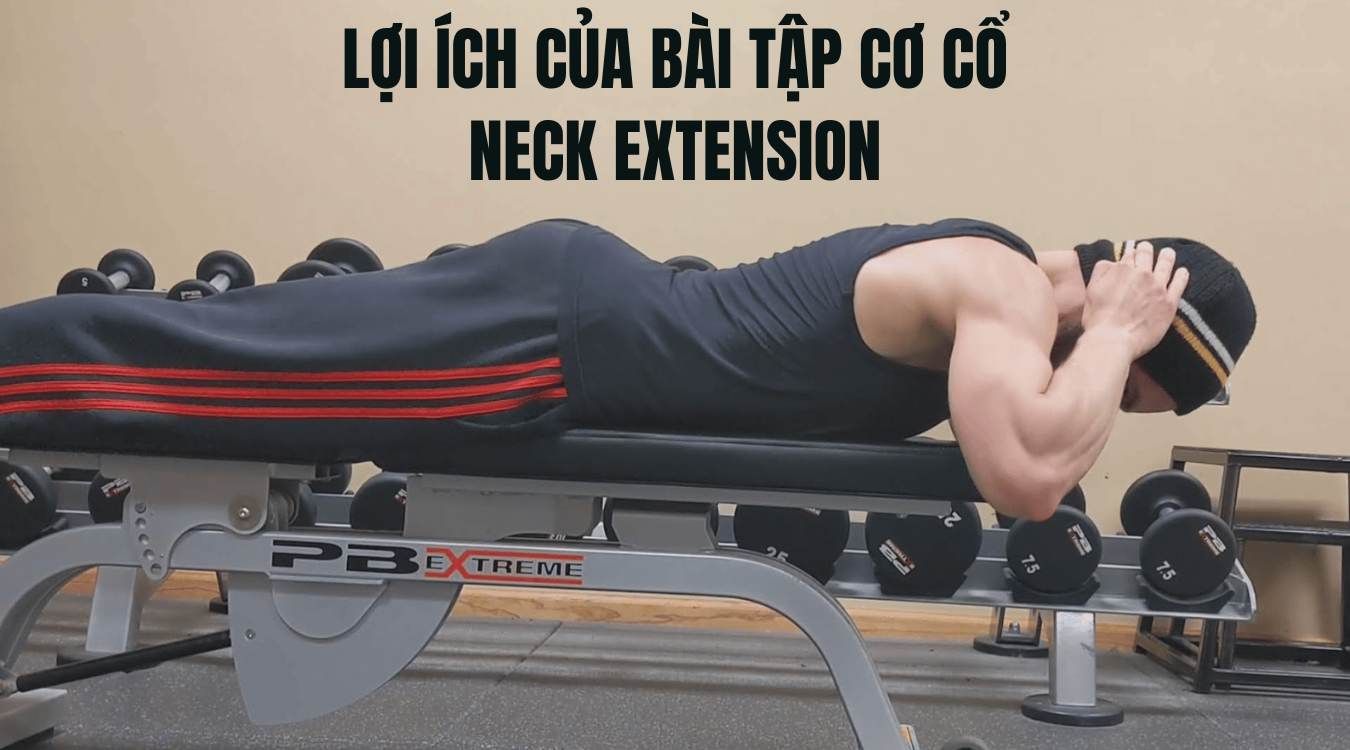 Lợi ích của bài tập cơ cổ Neck Extension