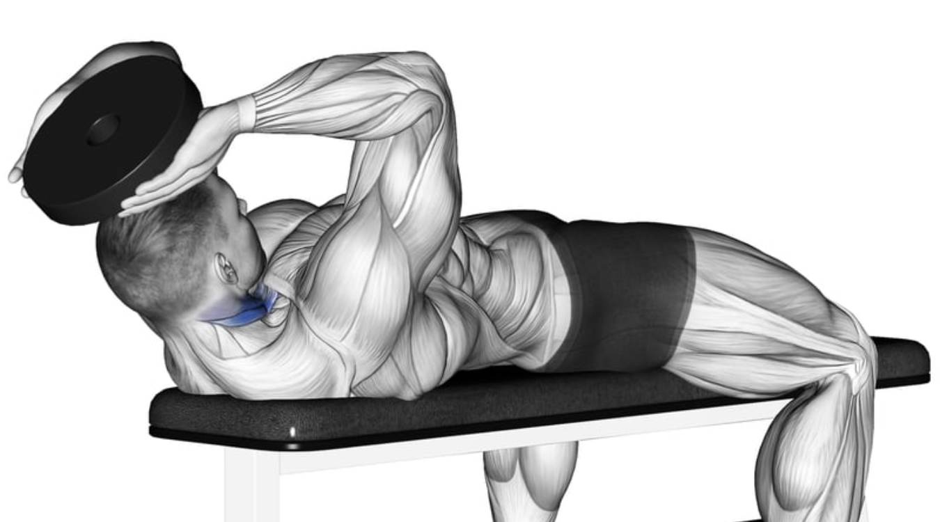 Lưu ý khi thực hiện Neck Plate Curls