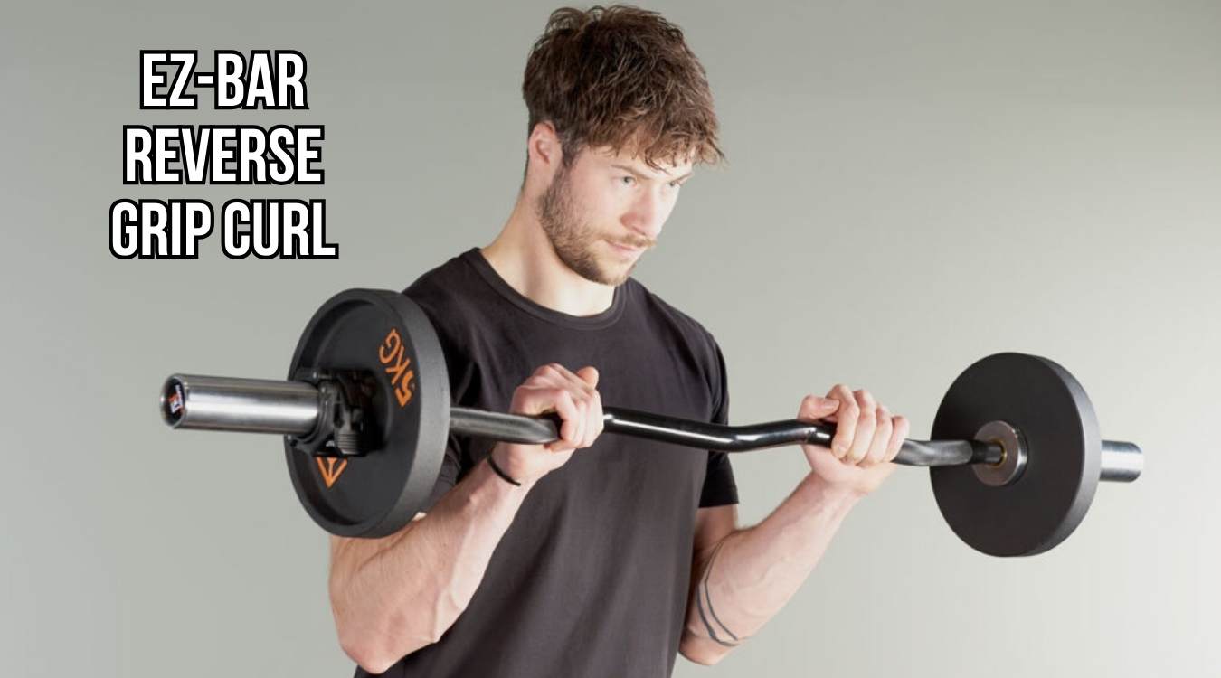 EZ-Bar Reverse Grip Curl
