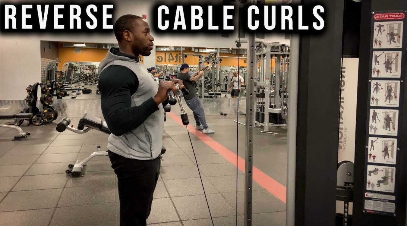 Reverse Cable Curl