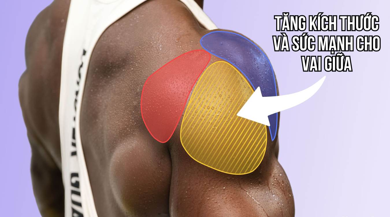 Lợi Ích Của Bài Tập One-Arm Dumbbell Lateral Raise