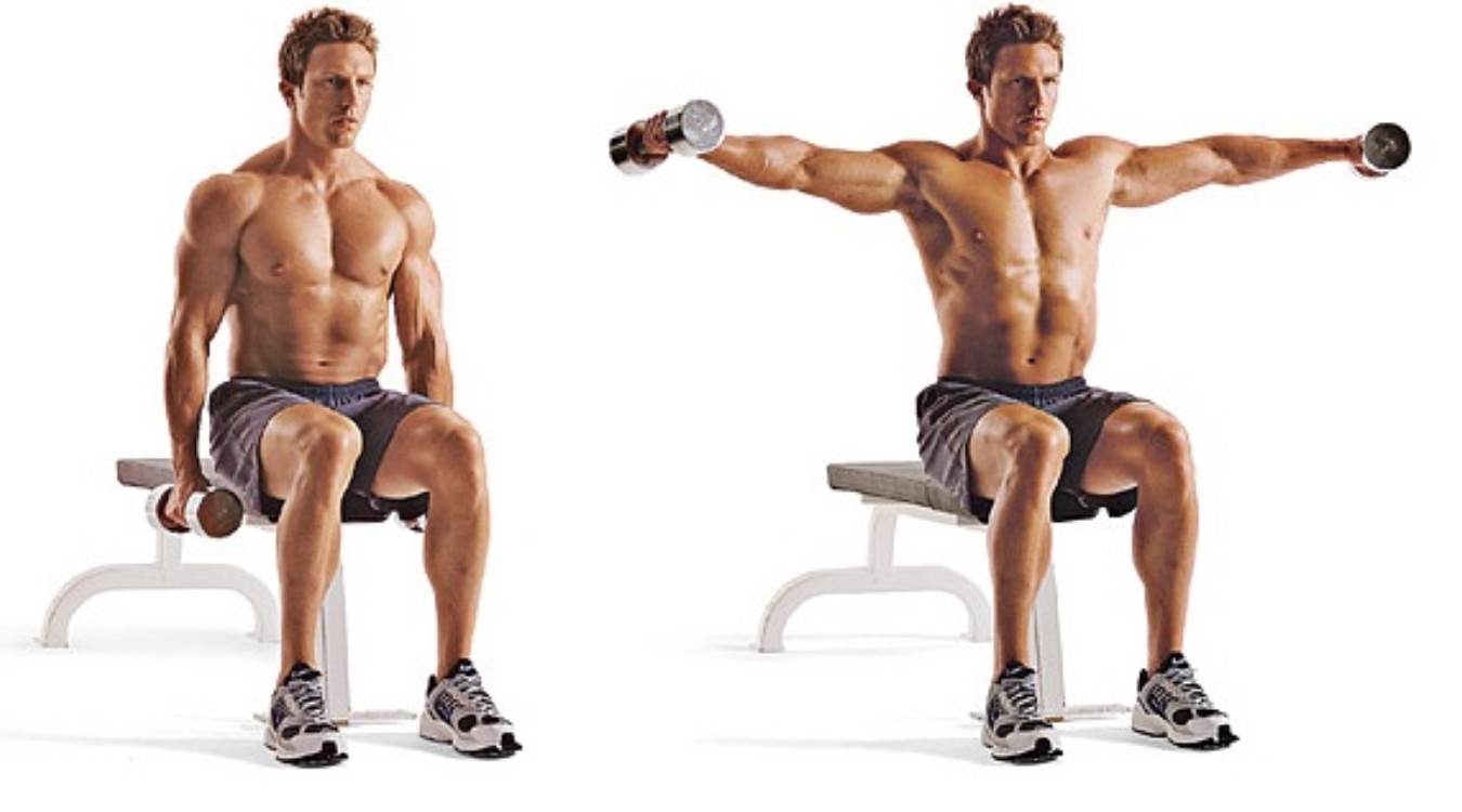 Hướng dẫn chi tiết cách thực hiện Seated Lateral Raise