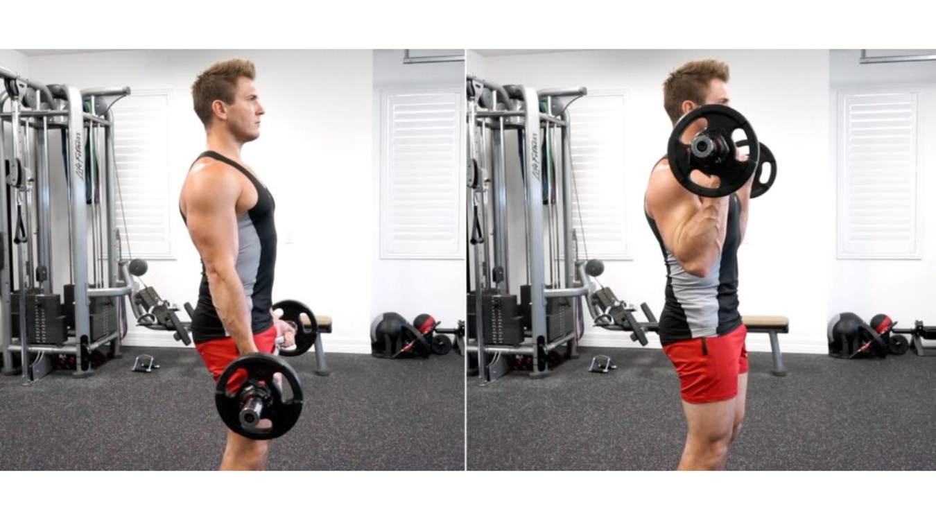 Hướng dẫn tập Standing Barbell Curl đúng cách