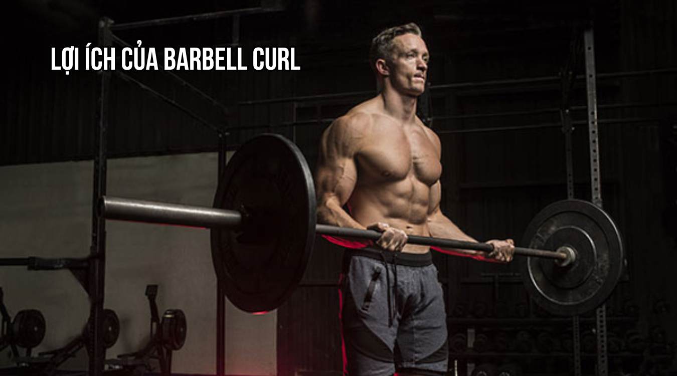 Lợi ích của Barbell Curl trong tập thể hình