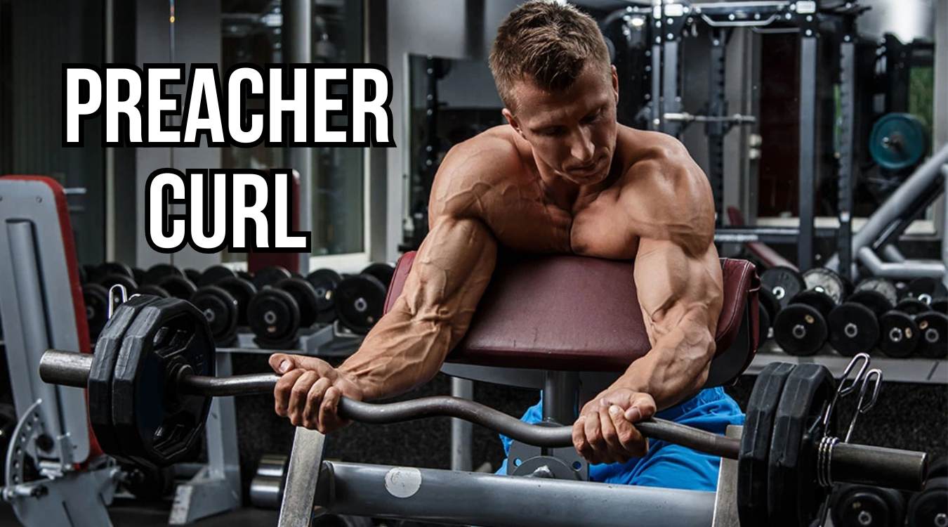 Bài tập Preacher Curl