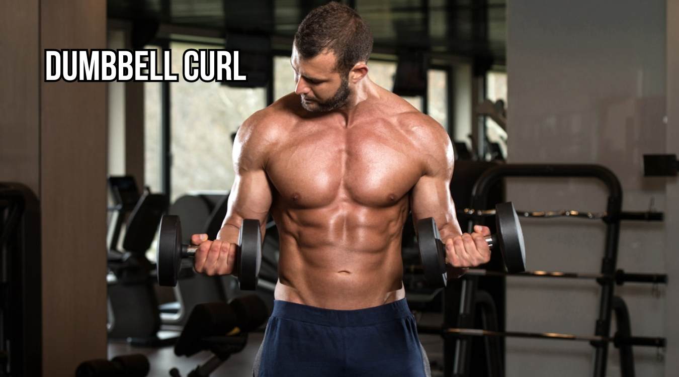 Bài tập Dumbbell Curl