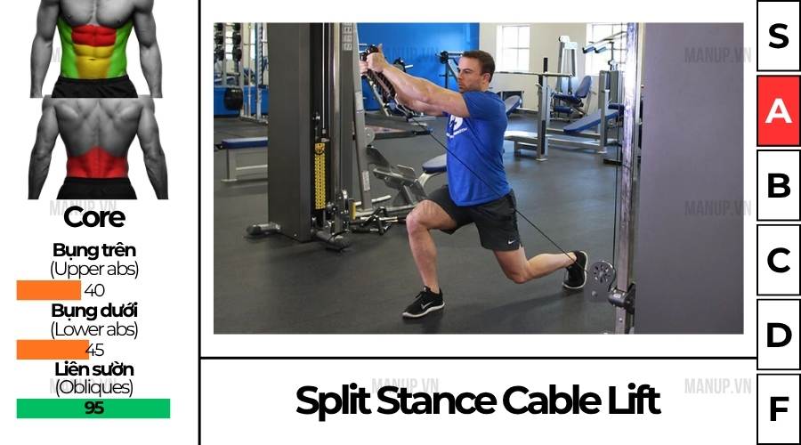 Split Stance Cable Lift