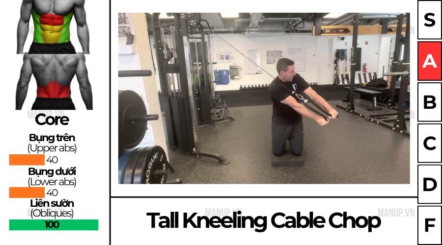 Tall Kneeling Cable Chop