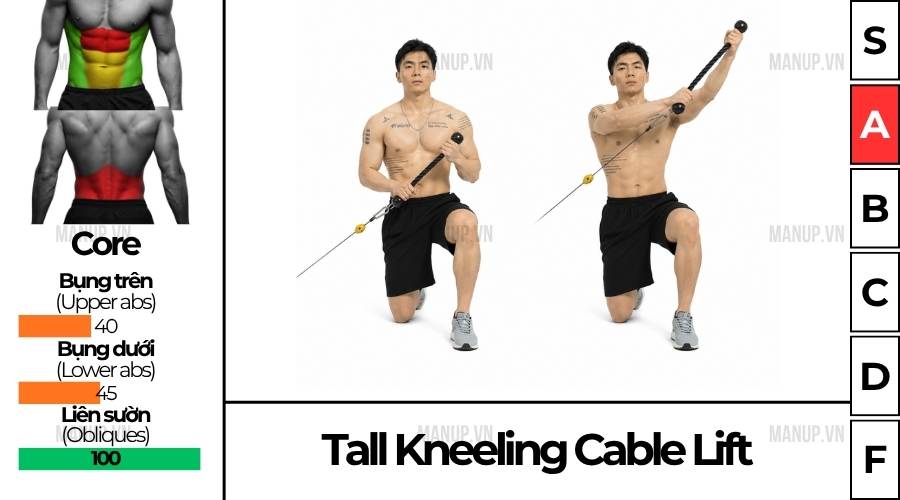 Tall Kneeling Cable Lift
