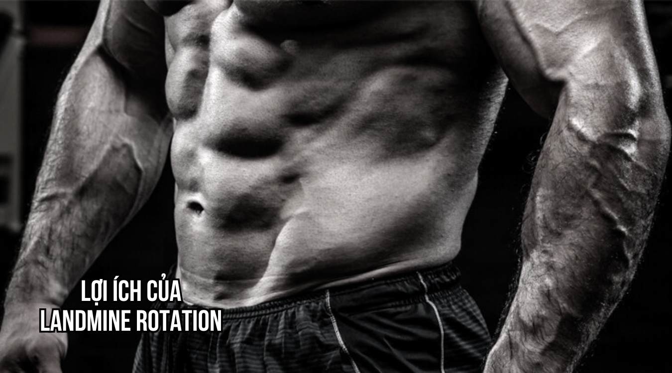 Lợi ích của Landmine Rotation