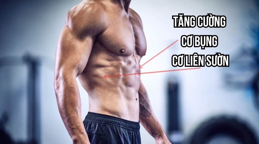 Lợi ích của việc tập Tall Kneeling Cable Chop