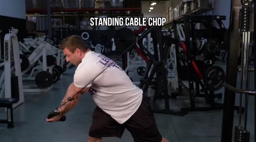 Standing Cable Chop