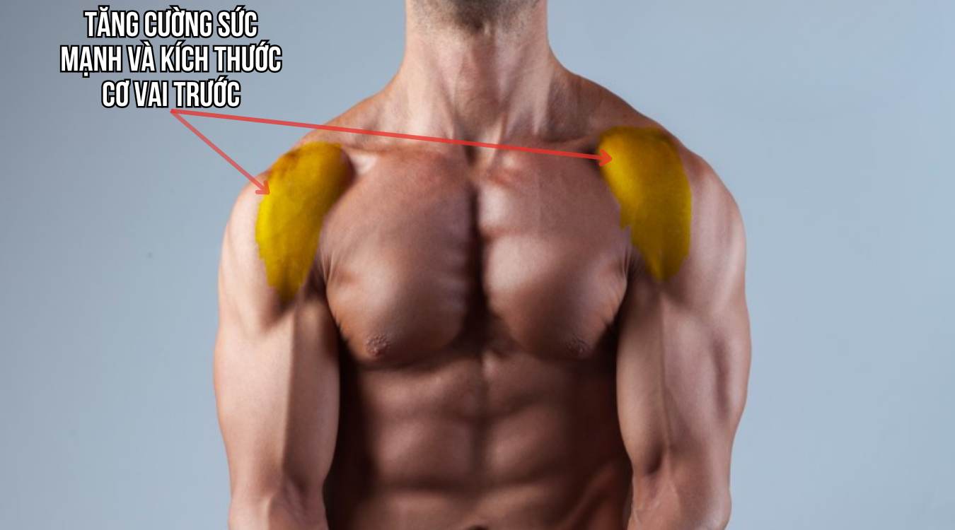 Lợi ích của Weight Plate Front Raise