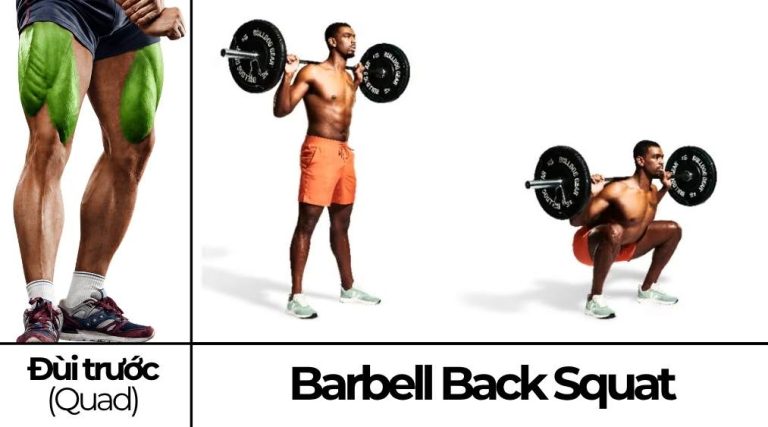 Barbell Squat