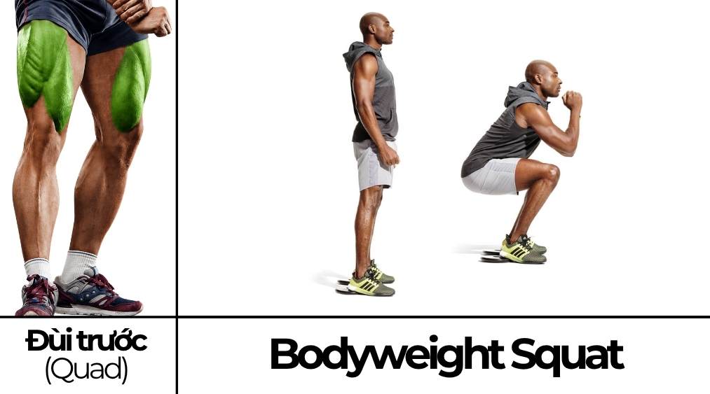 Bodyweight Squat