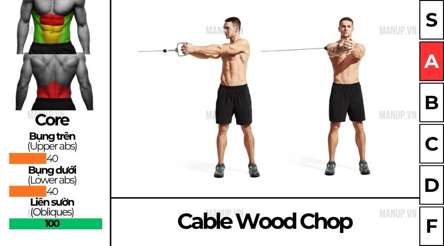 Cable Wood Chop
