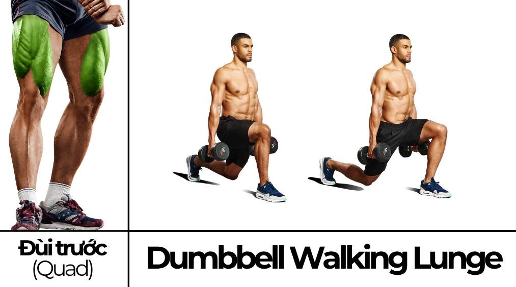 Dumbbell Walking Lunge