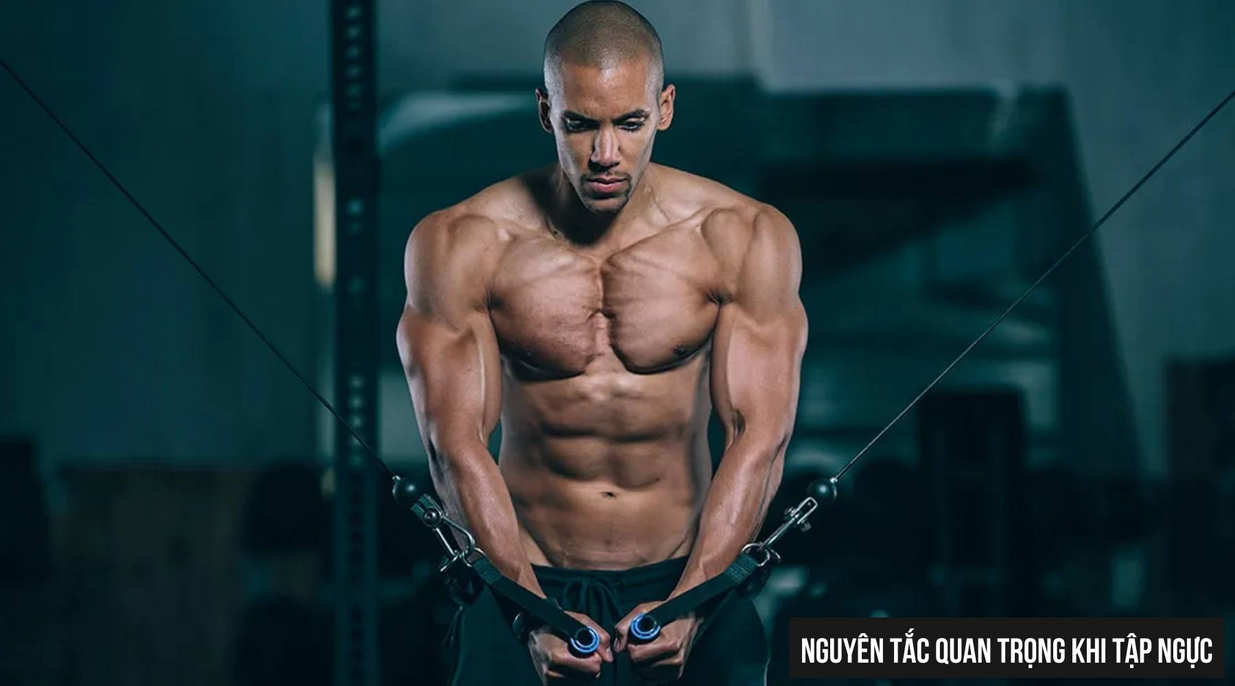 Bài tập ngực cho nam tại phòng gym