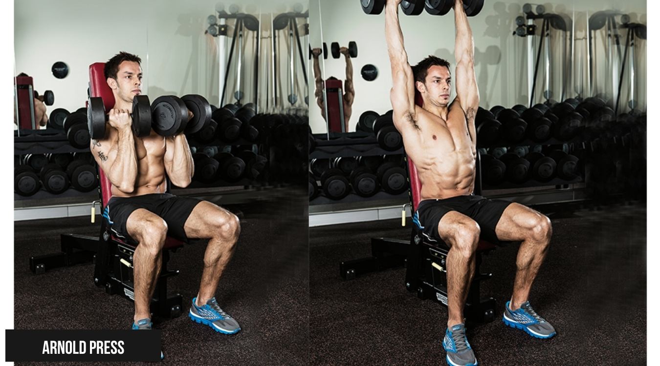 Arnold Press