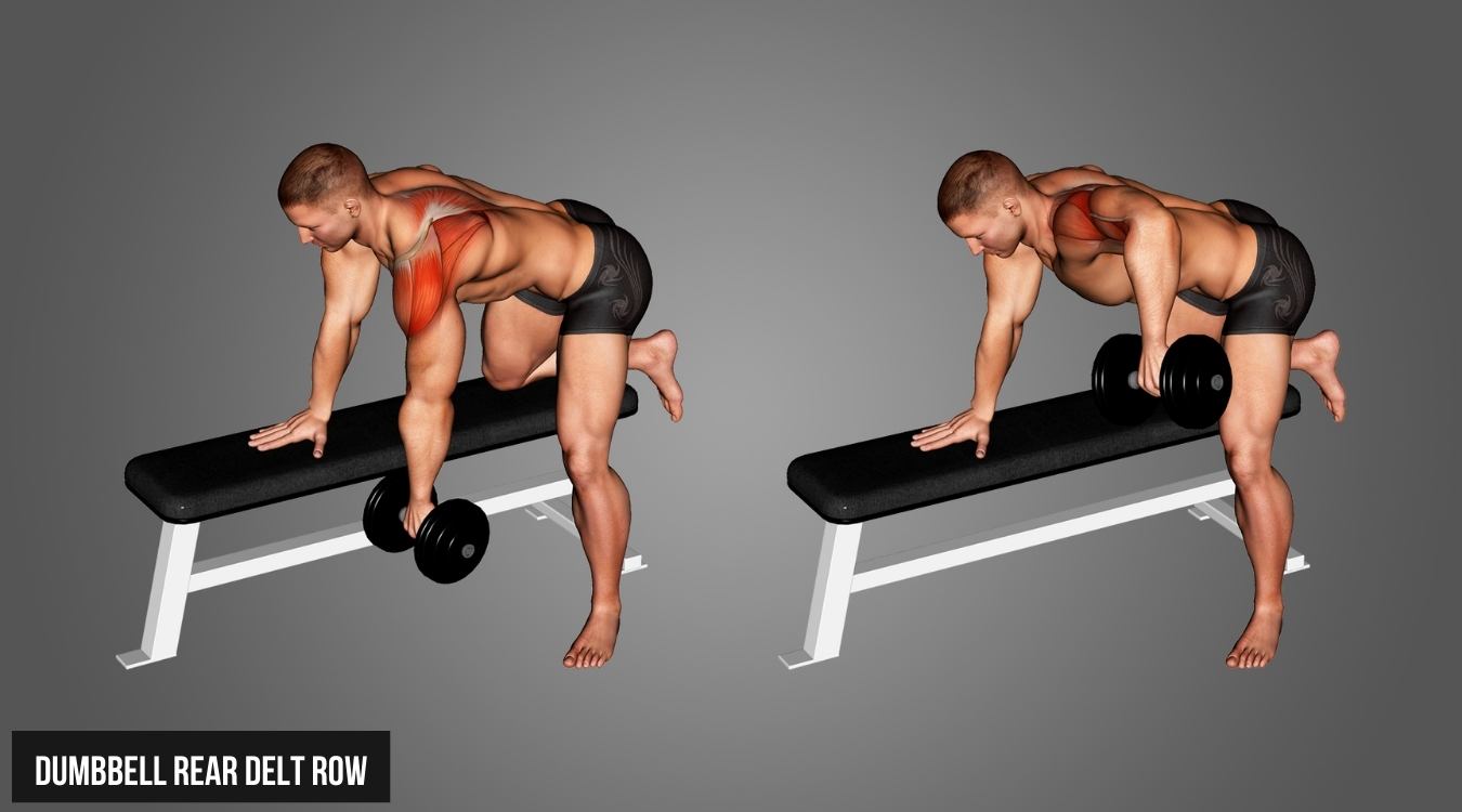 Dumbbell Rear Delt Row