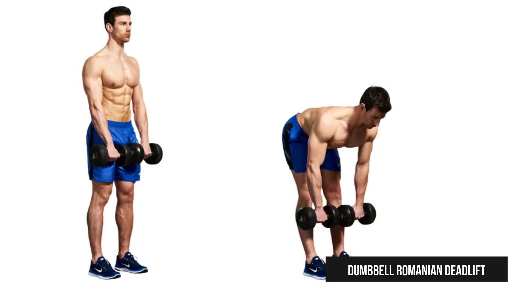 Dumbbell Romanian Deadlift