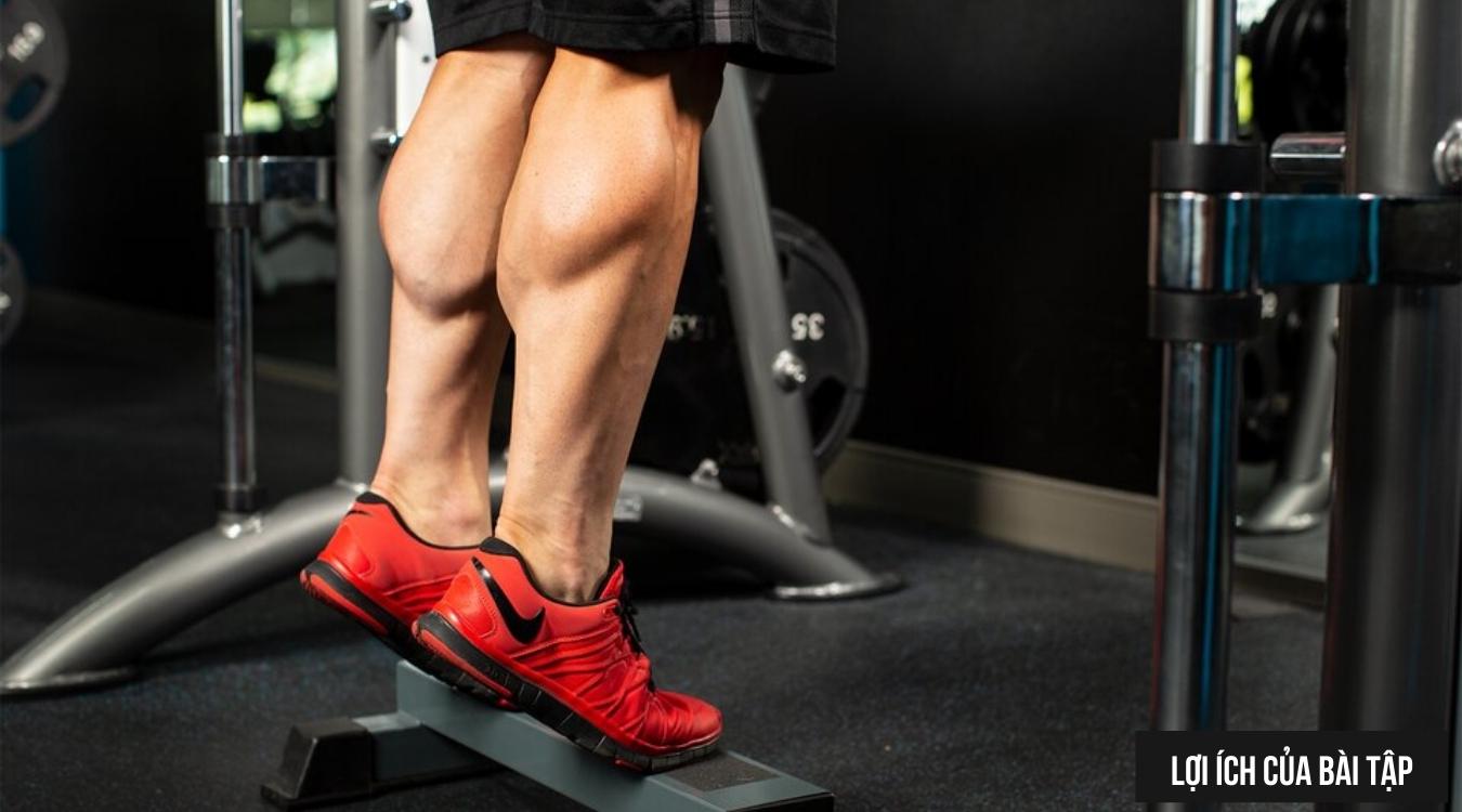 Lợi ích của bài tập Bodyweight Standing Calf Raise