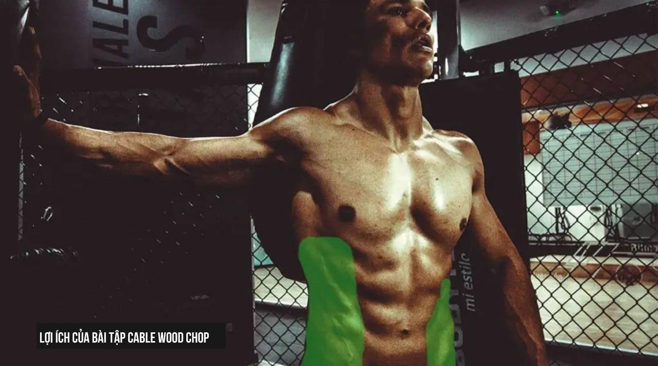 Lợi ích của bài tập Cable Wood Chop