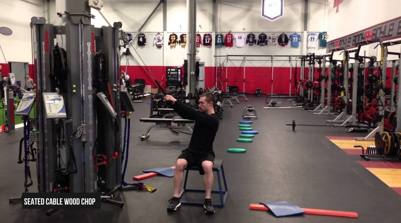 Seated Cable Wood Chop