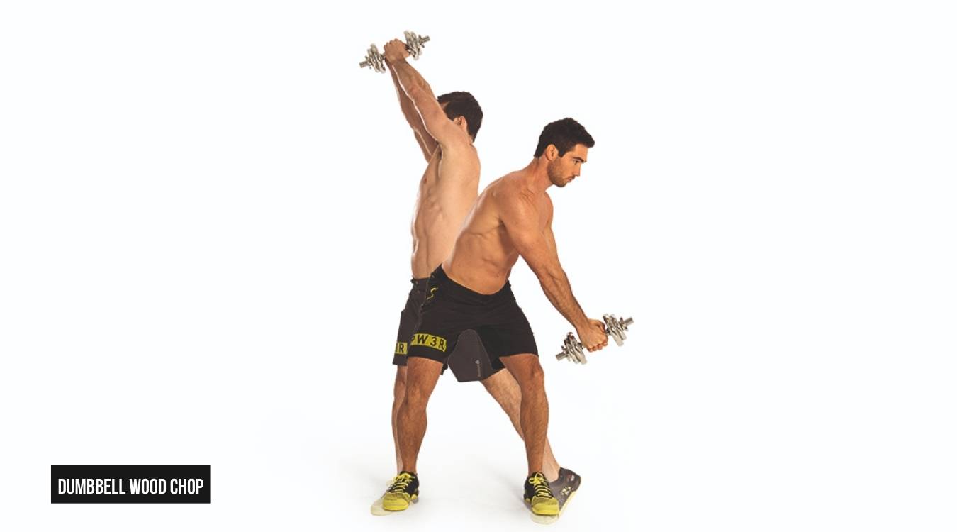 Dumbbell Wood Chop