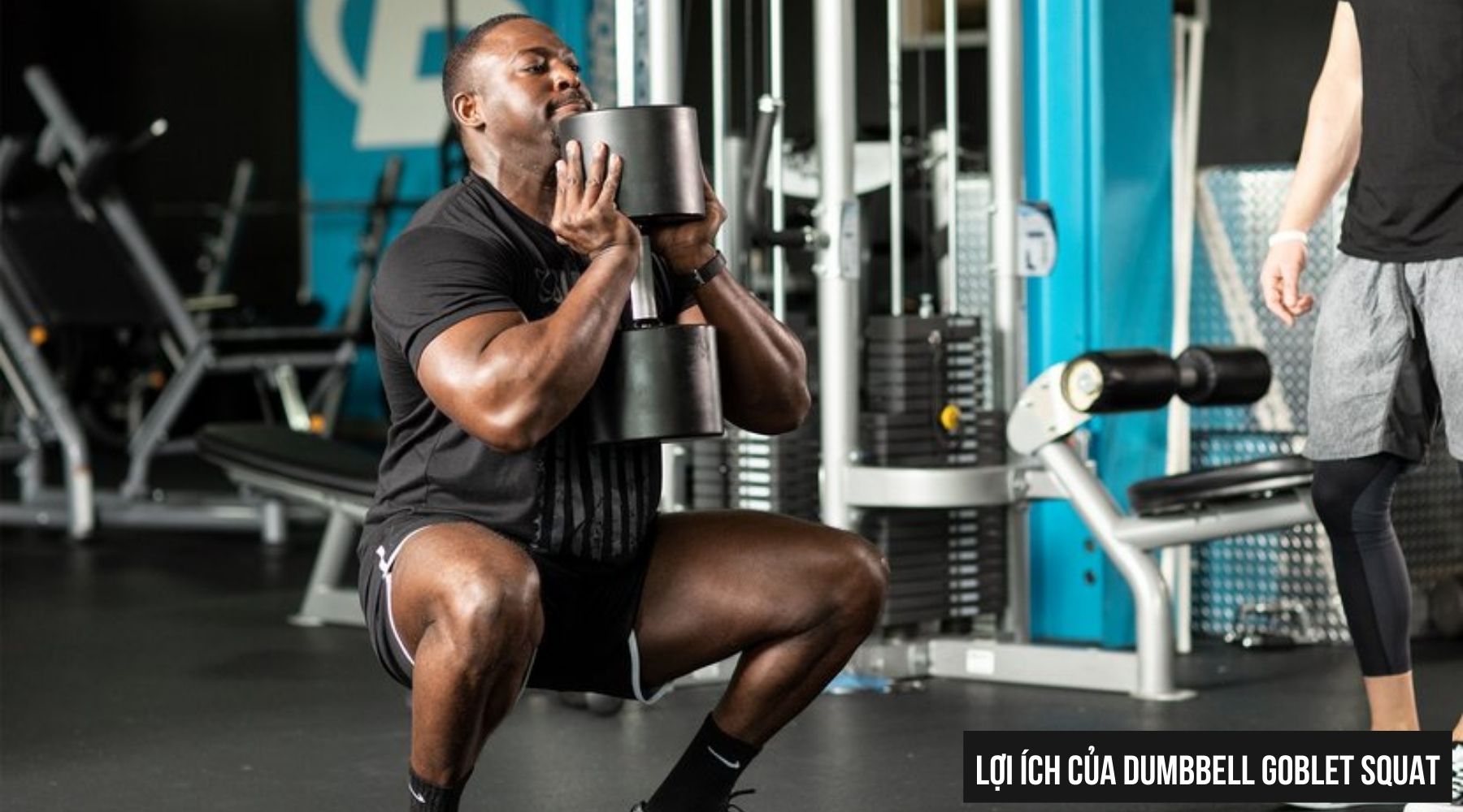 Lợi ích của Dumbbell Goblet Squat