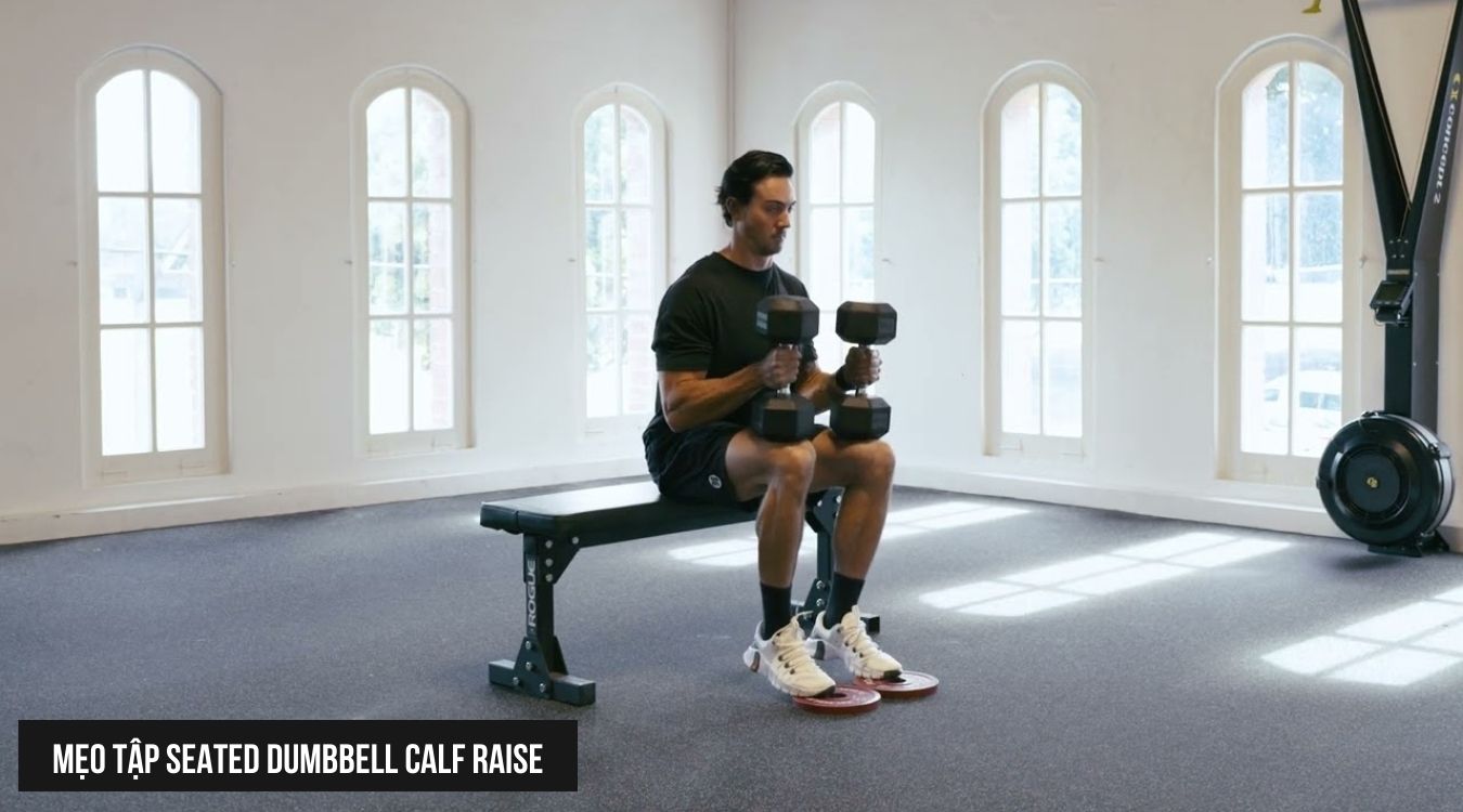 Lời khuyên để tập Seated Dumbbell Calf Raise hiệu quả