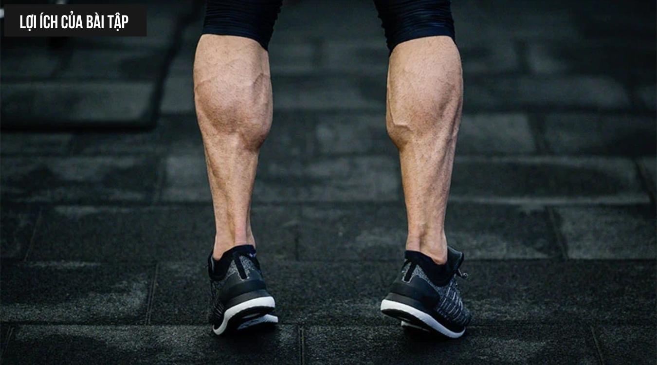Lợi ích của bài tập Dumbbell Seated One-Leg Calf Raise