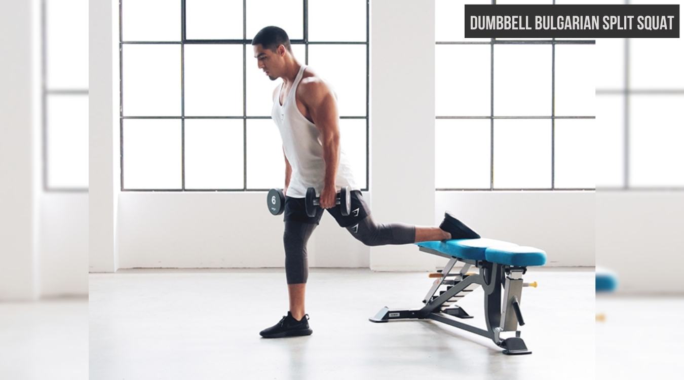 Dumbbell Bulgarian Split Squat