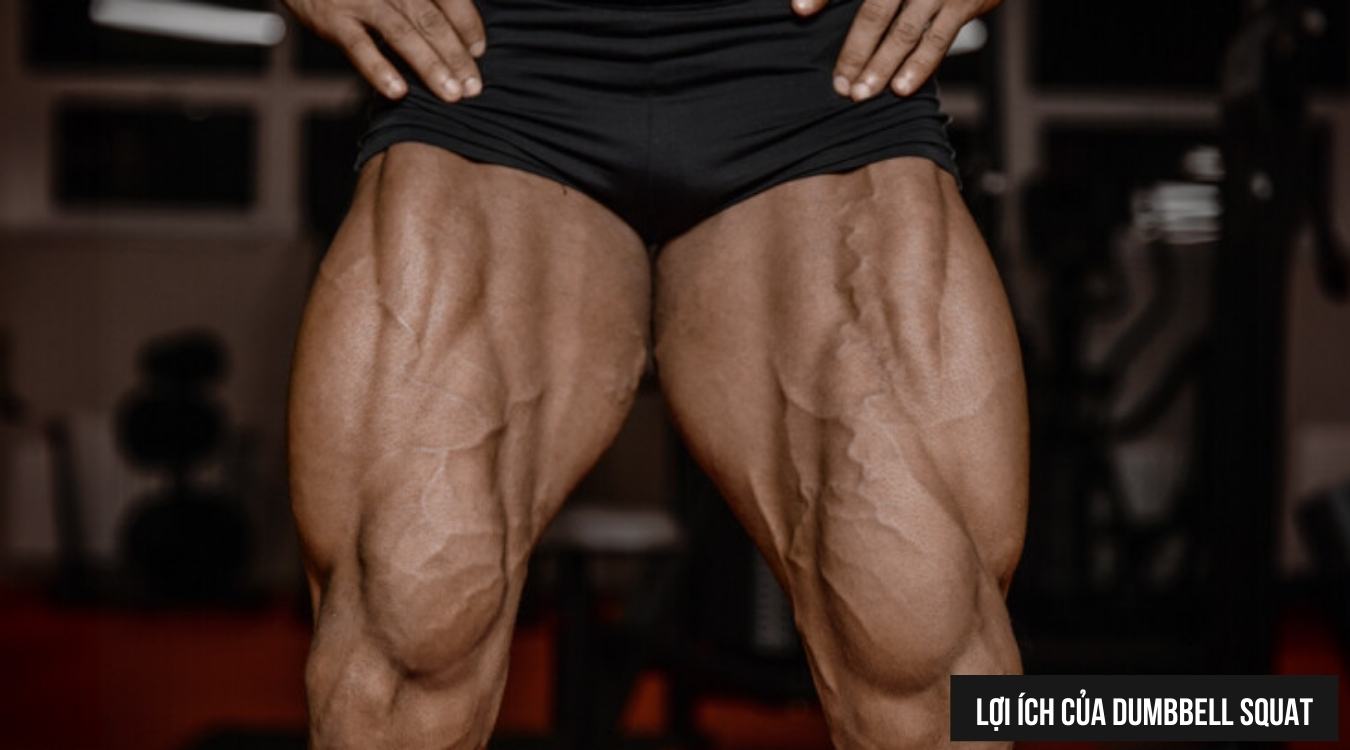 Lợi ích của Dumbbell Squat