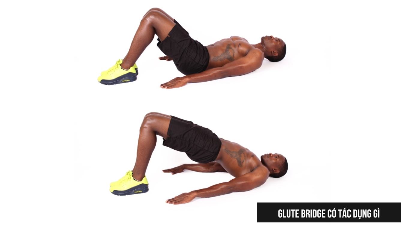 Glute Bridge có tác dụng gì