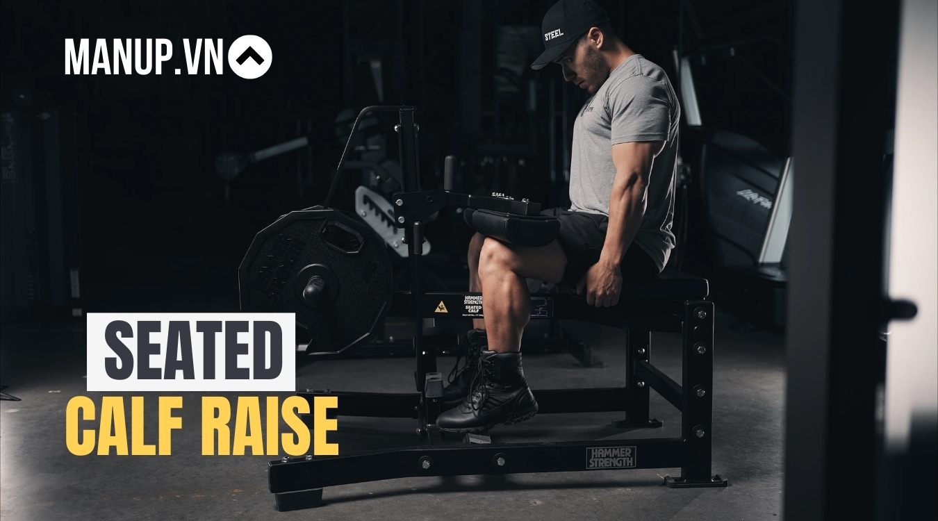 Bài tập cẳng chân Seated Calf Raise