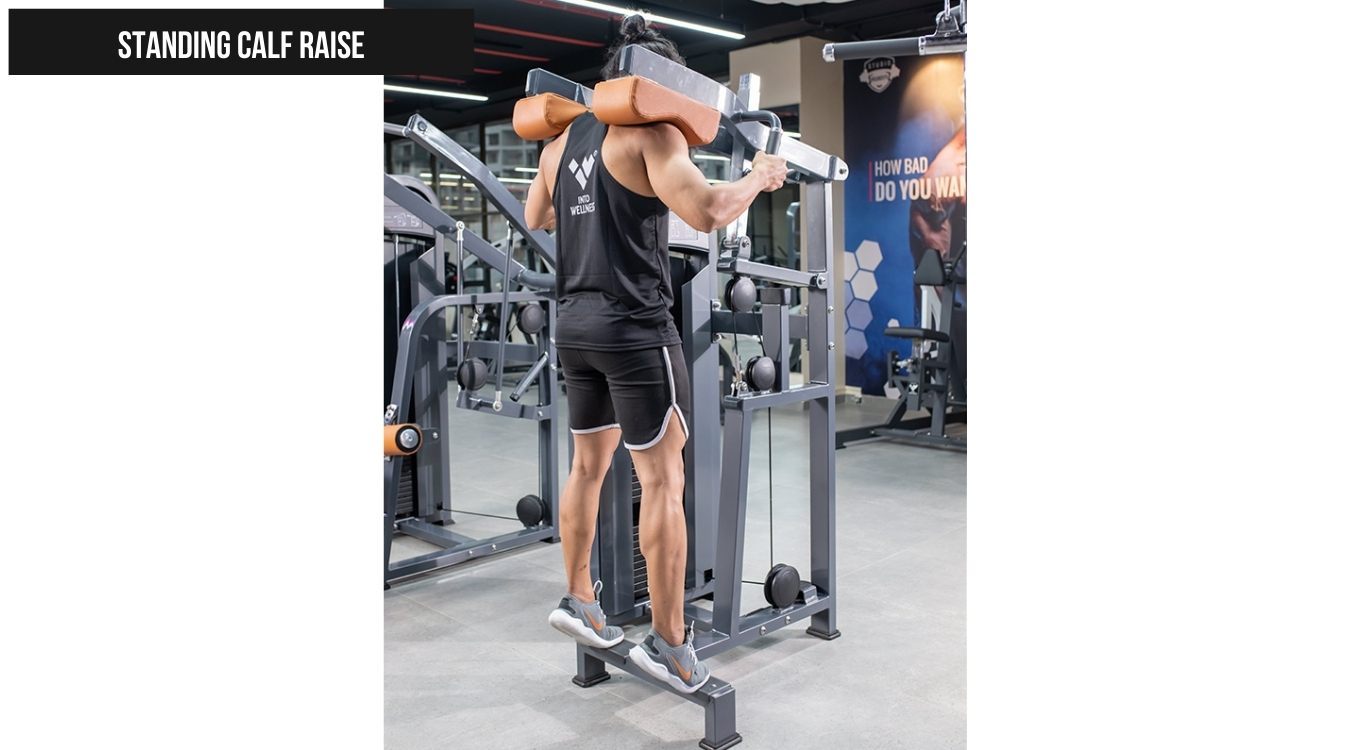 Standing Calf Raise