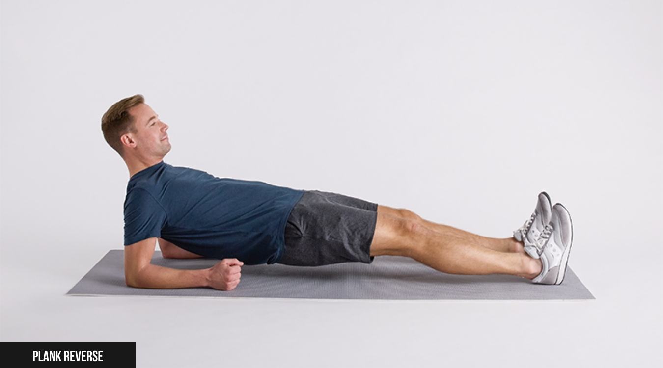 Plank Reverse