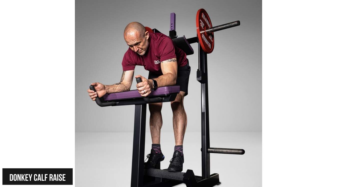 Donkey Calf Raise (Gánh tạ nhón gót chân)