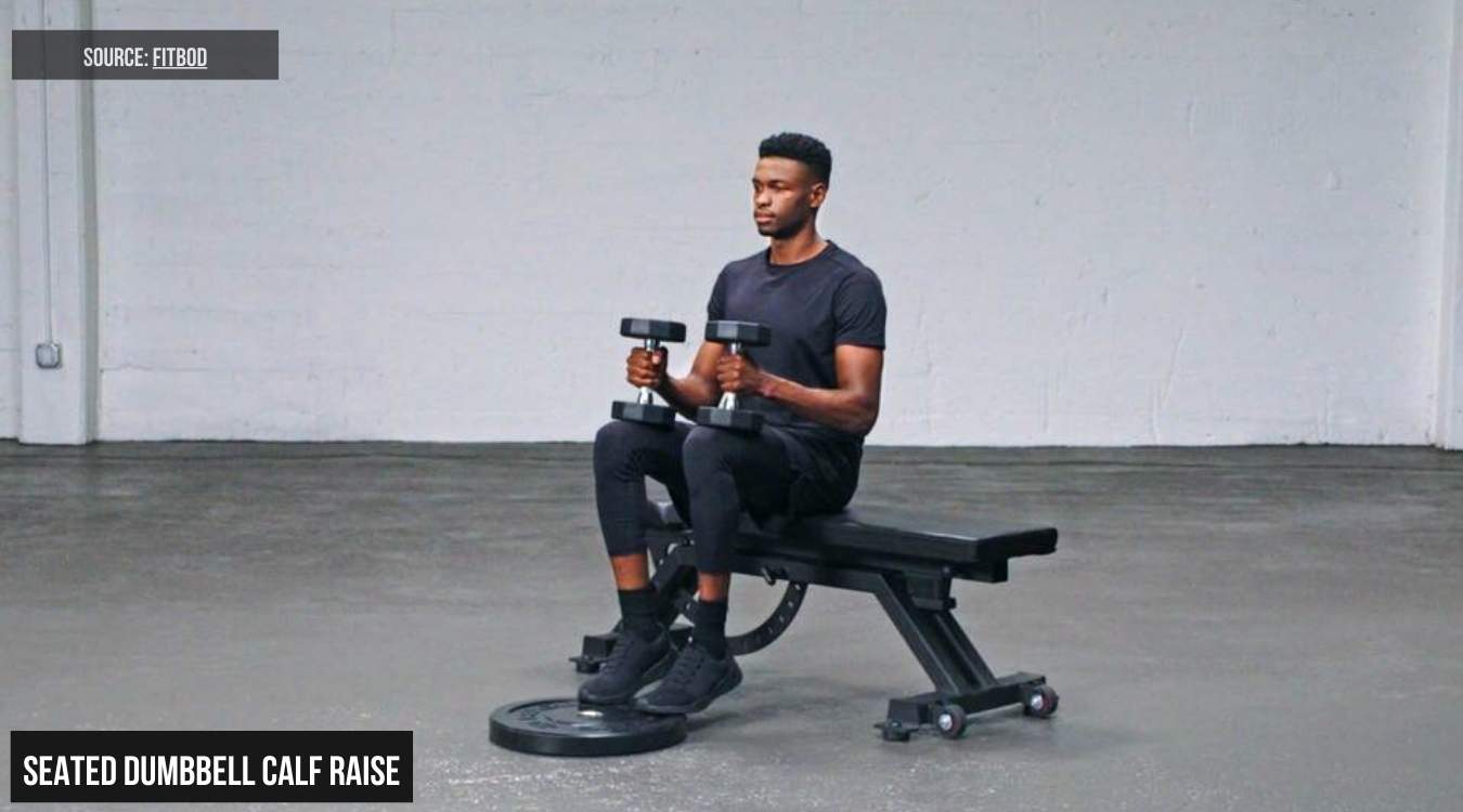 Seated Dumbbell Calf Raise