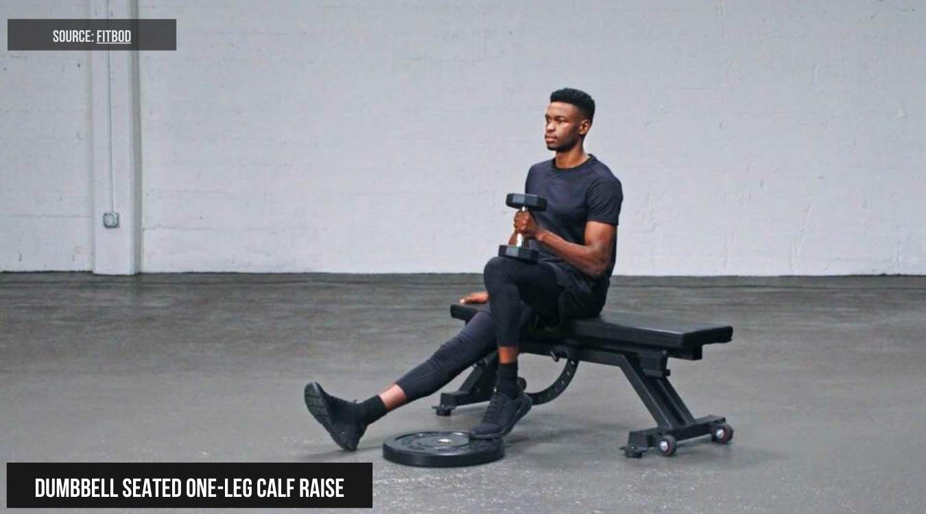 Dumbbell Seated One-Leg Calf Raise