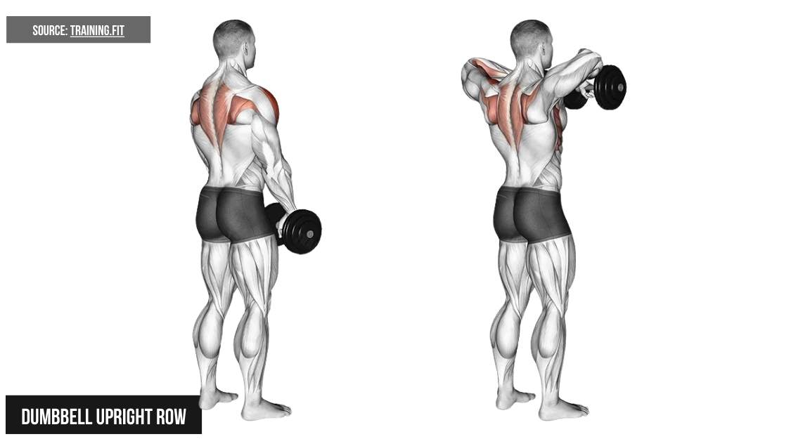 Dumbbell Upright Row