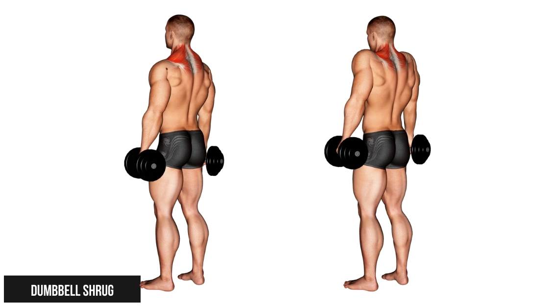 các bài tập cầu vai cho nam