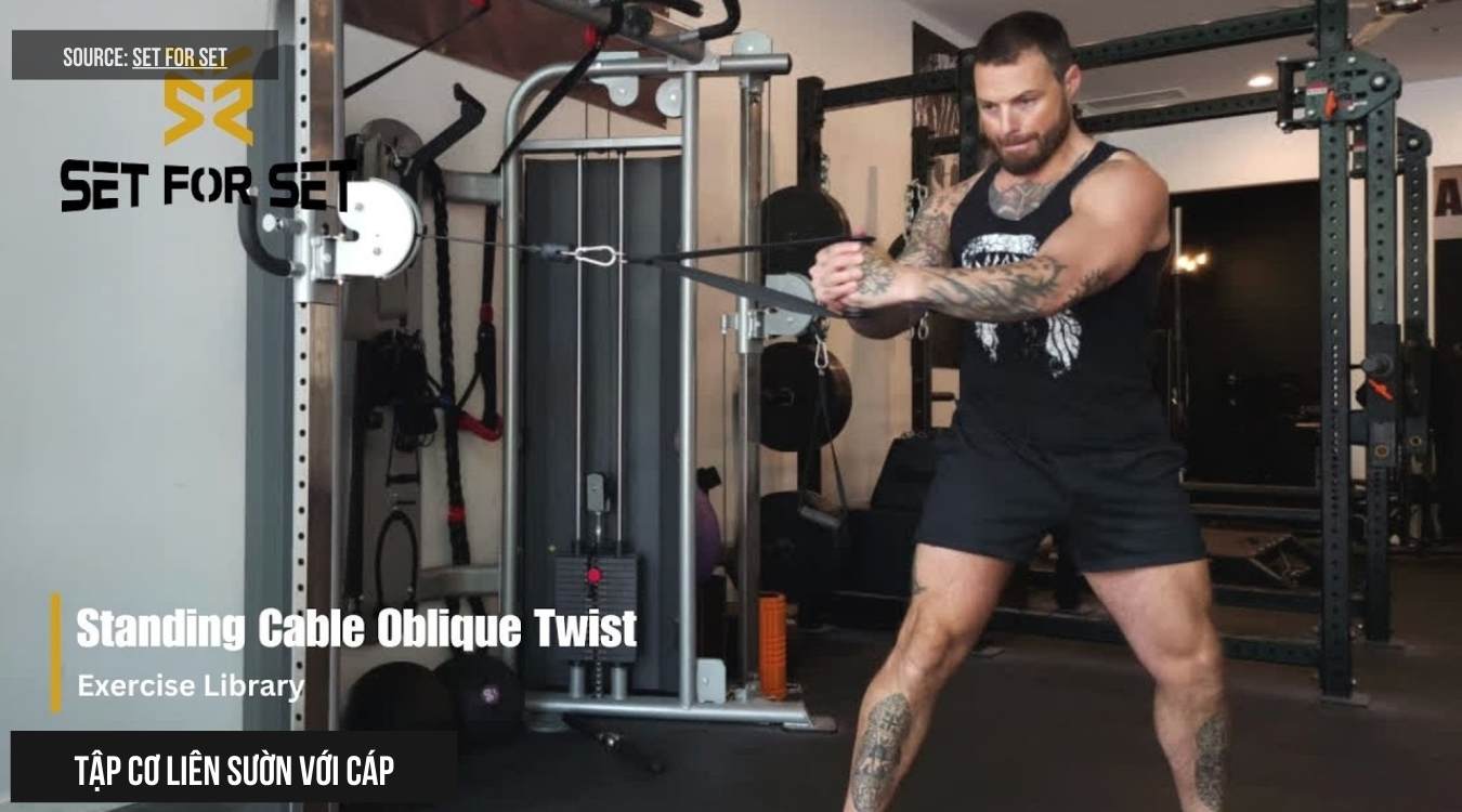 Máy kéo cáp và tạ hỗ trợ tập cơ liên sườn