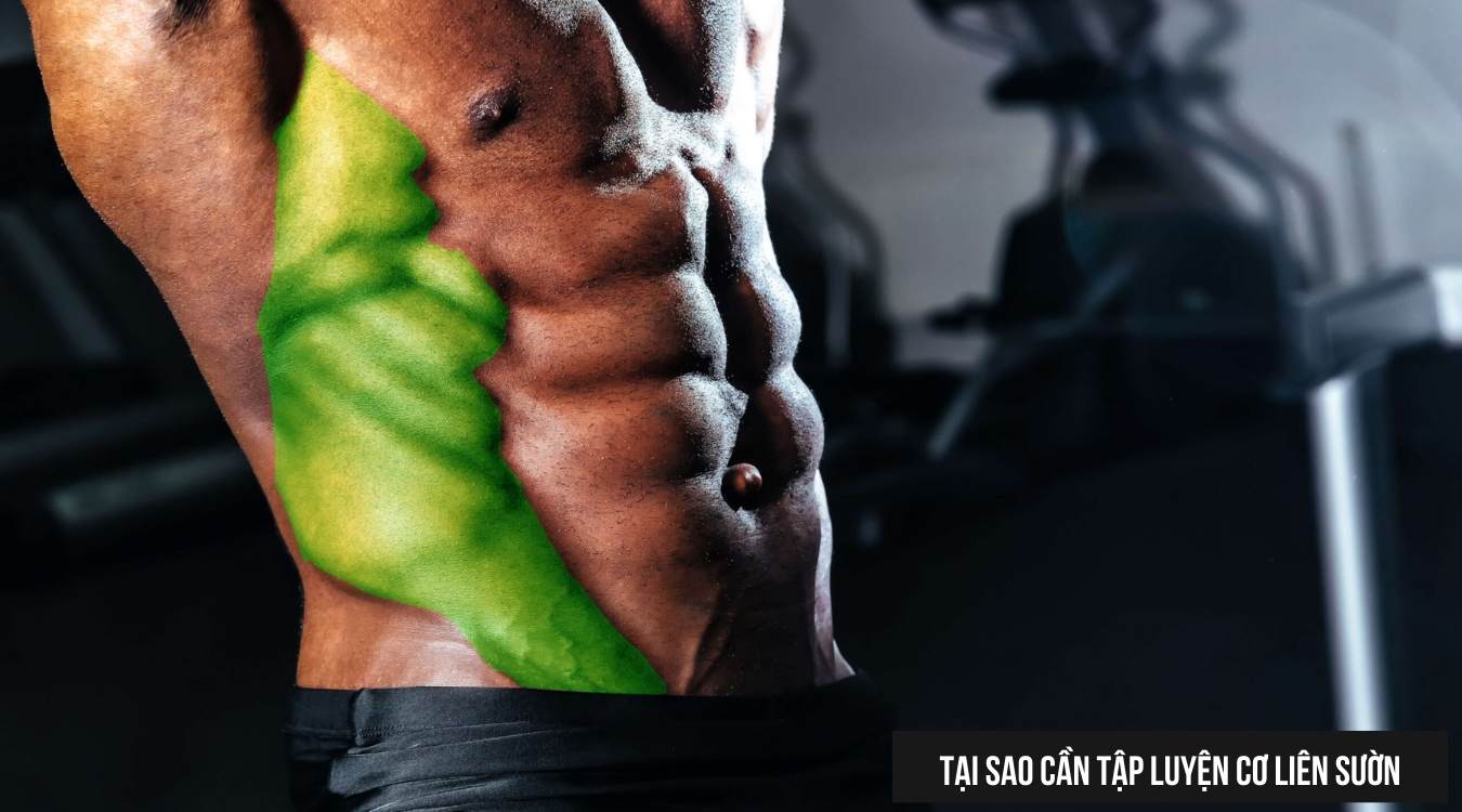 bài tập cơ liên sườn