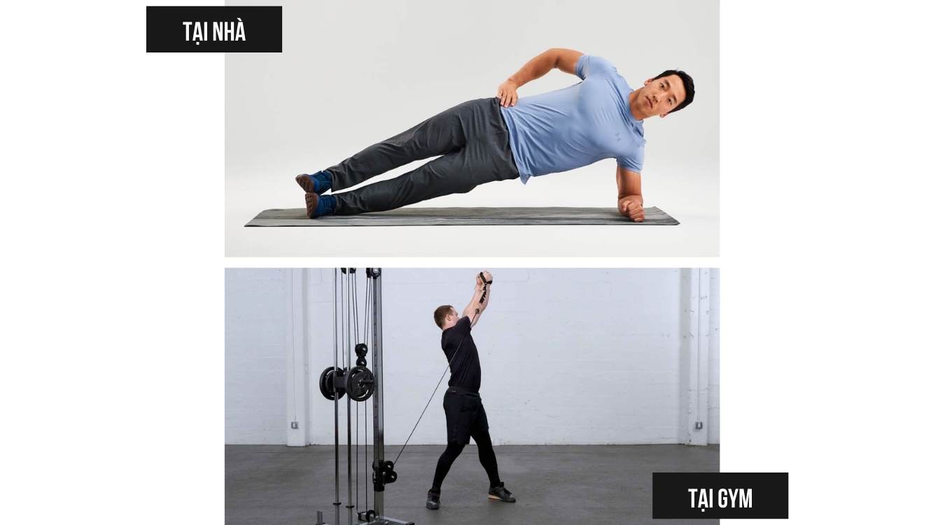 bài tập cơ liên sườn