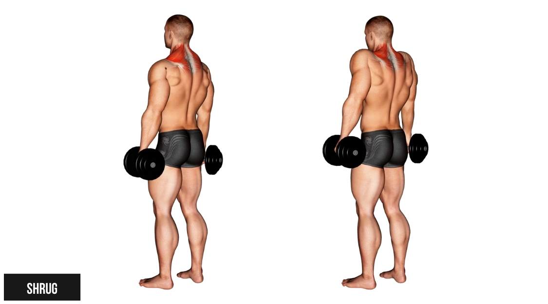 Shrug (Nhún vai với tạ đơn)