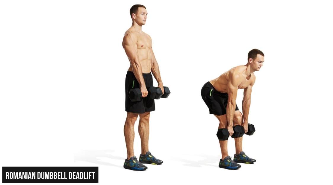 Romanian Deadlift với tạ đơn (Romanian Dumbbell Deadlift)