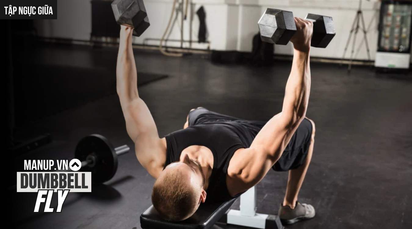 Cách tập Dumbbell Fly