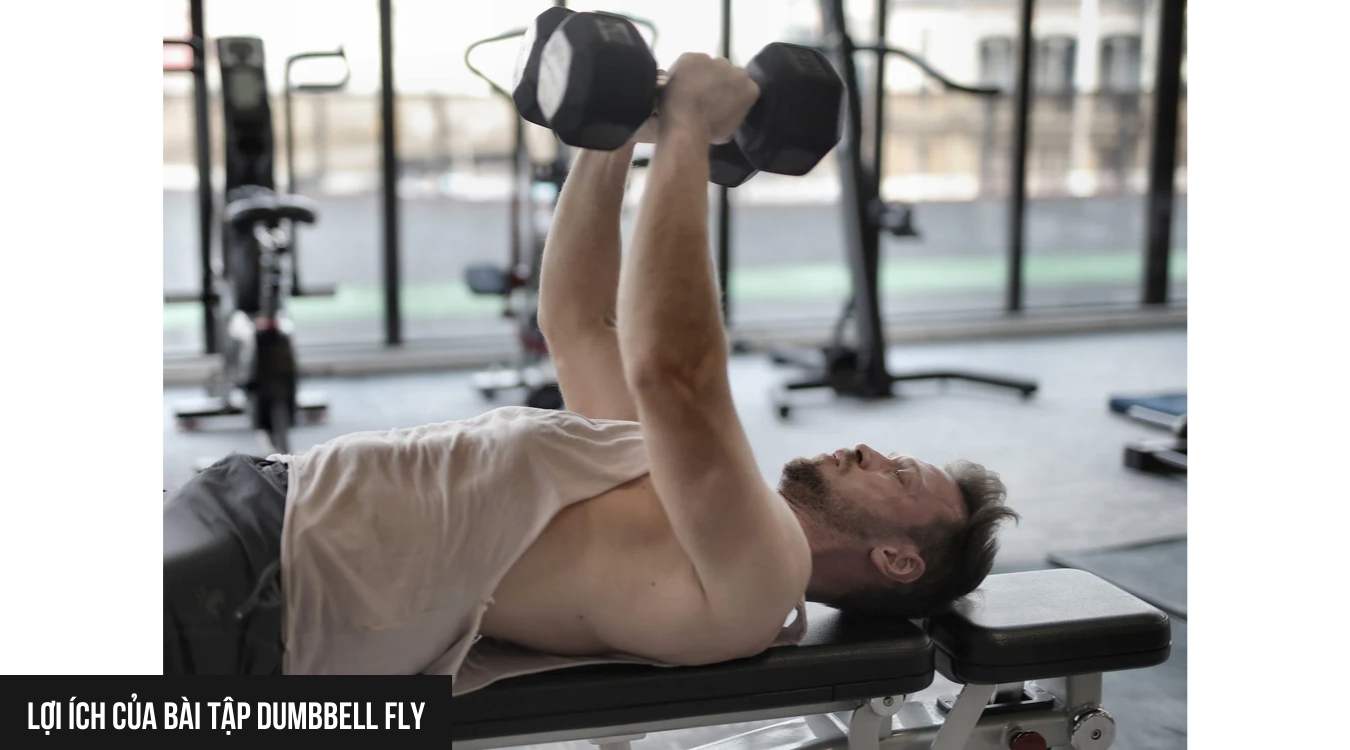 Cách tập Dumbbell Fly